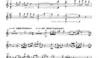 月亮代表我的心歌谱