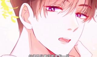 偷偷藏不住动漫