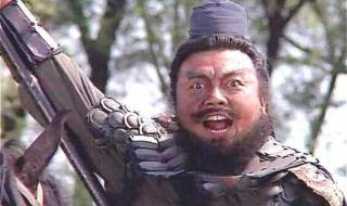 涿州翼德张 涿州翼德张