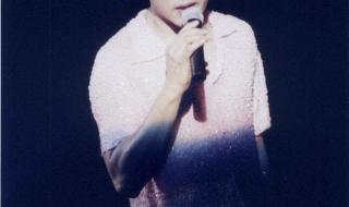 怀念张国荣演唱会2013 怀念张国荣演唱会2013