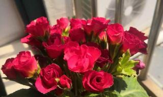 比佳的护肤品怎么样 比佳的护肤品怎么样