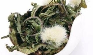 喝黄芪茶差点喝死了