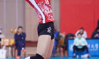 女排张常宁任职公示